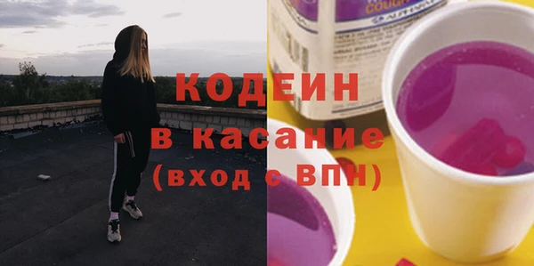 индика Баксан