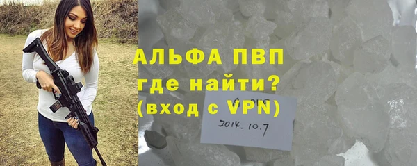 индика Баксан